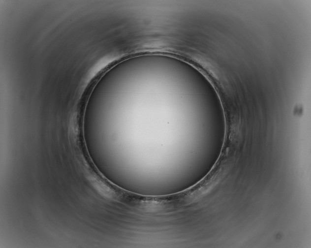 X0000101661458200807101243