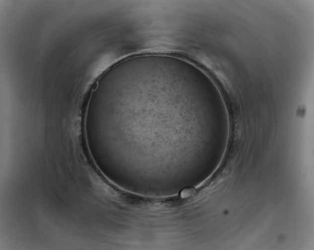 X0000101661459200807101243