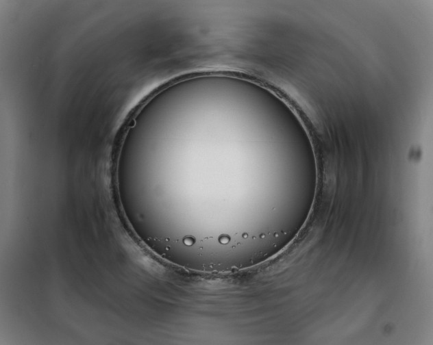 X0000101661460200807101243