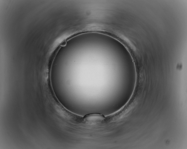 X0000101661461200807101243