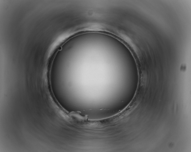 X0000101661464200807101243