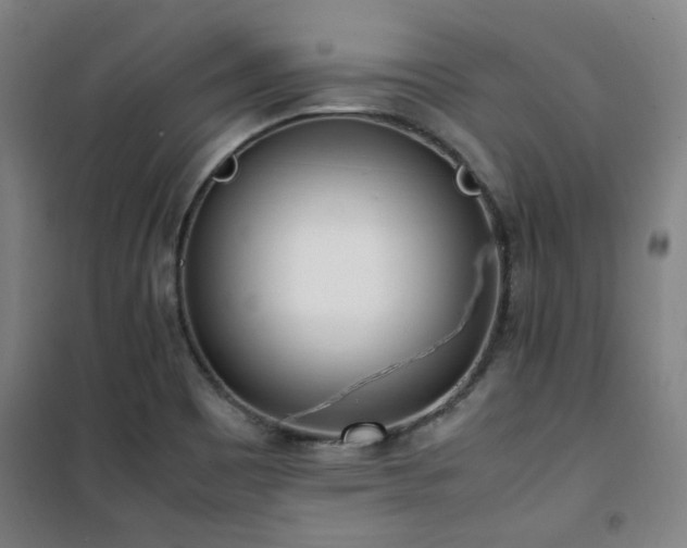X0000101661465200807101243