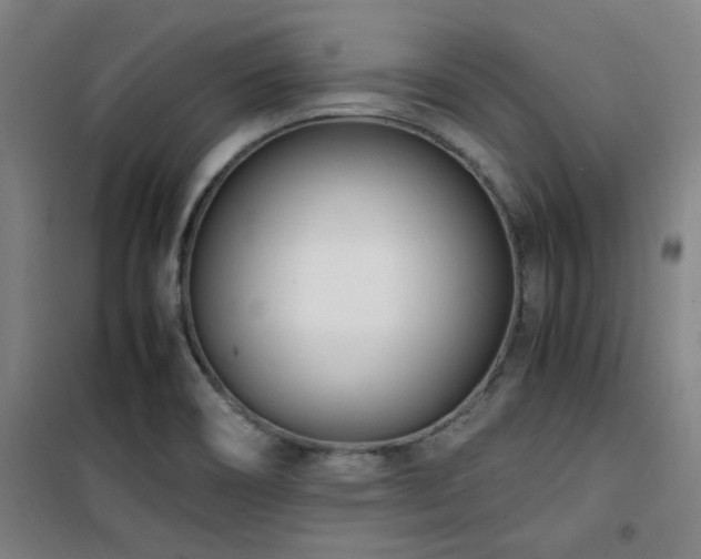 X0000101661466200807101243