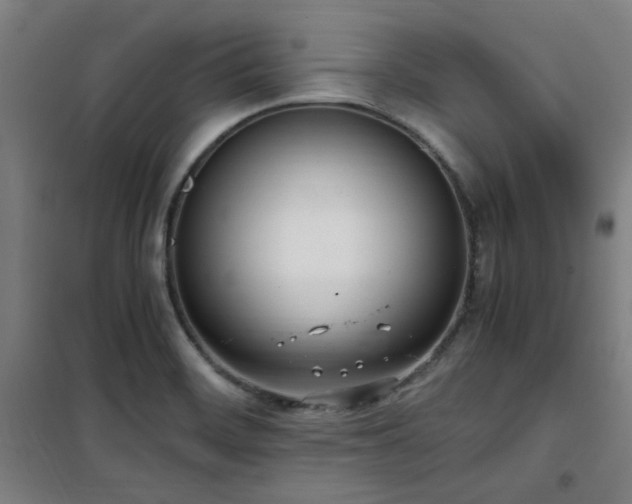 X0000101661468200807101243