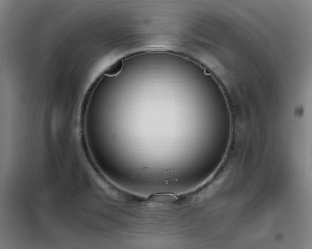 X0000101661469200807101243