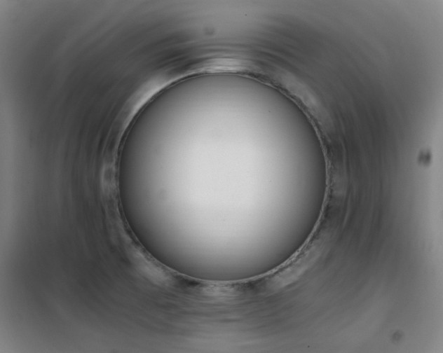 X0000101661473200807101243