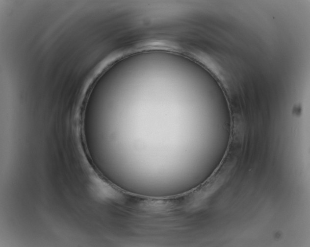 X0000101661474200807101243