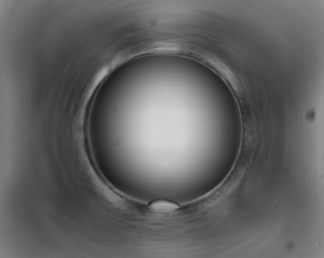 X0000101661475200807101243
