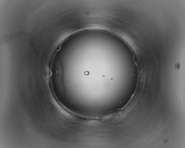 X0000101661476200807101243