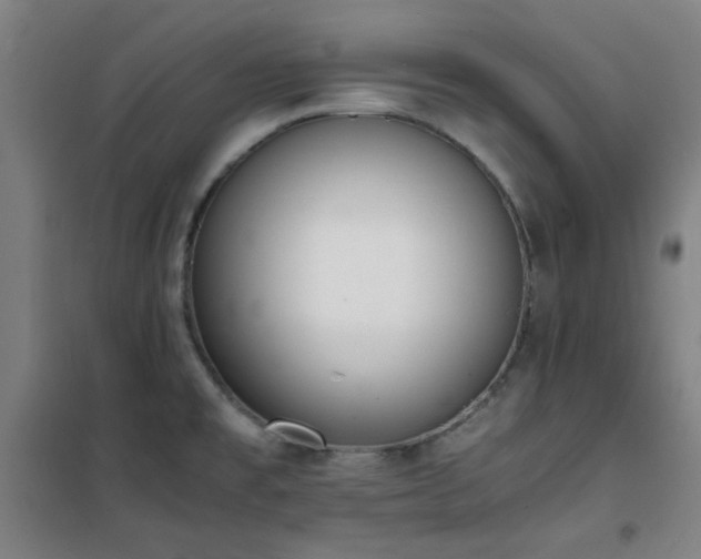 X0000101661477200807101243