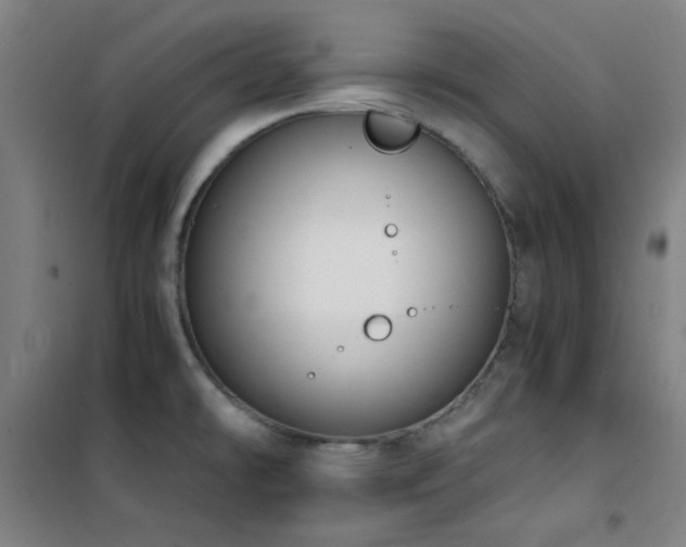 X0000101661478200807101243