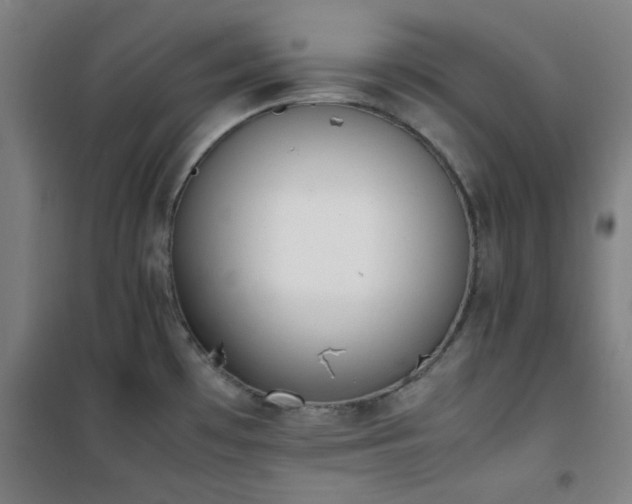 X0000101661481200807101243