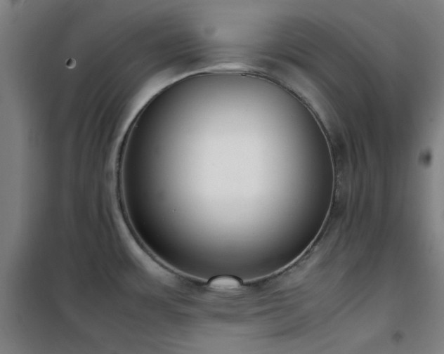 X0000101661483200807101243