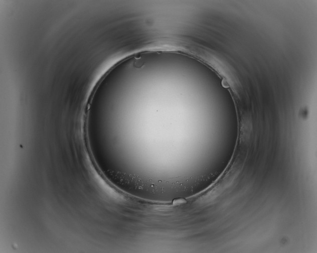 X0000101661484200807101243