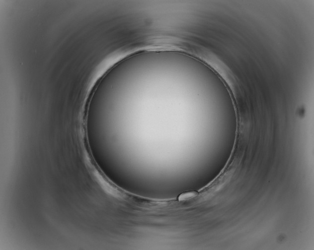 X0000101661485200807101243