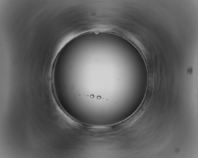 X0000101661487200807101243