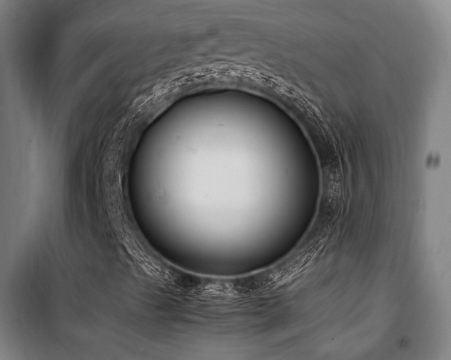 X0000101661489200807101242