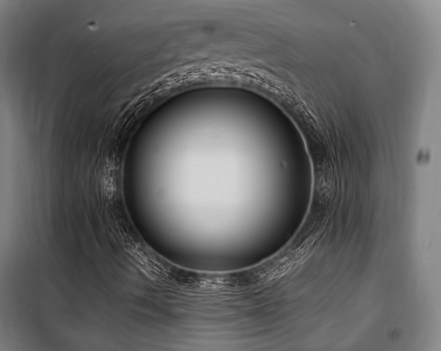 X0000101661490200807101242