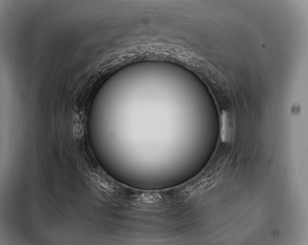 X0000101661491200807101242