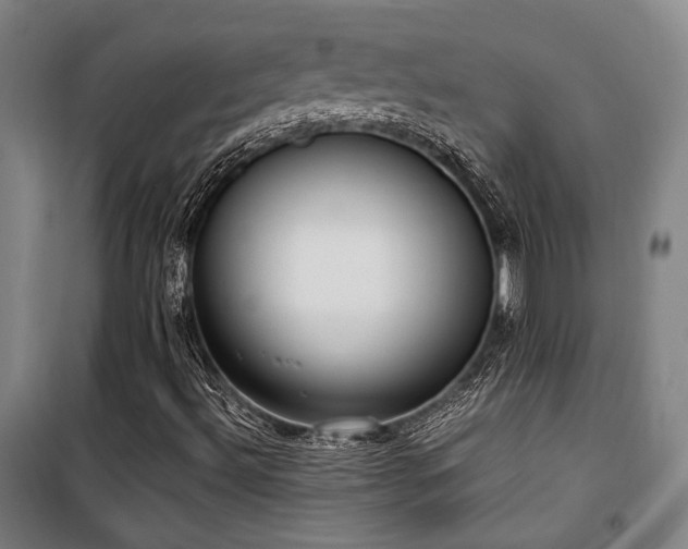 X0000101661492200807101242