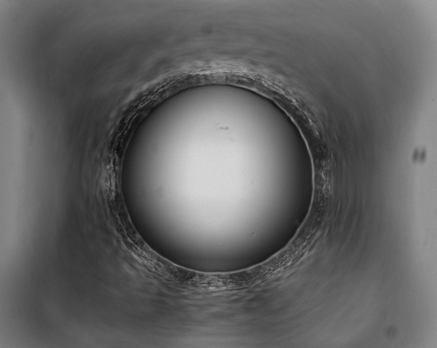 X0000101661493200807101242