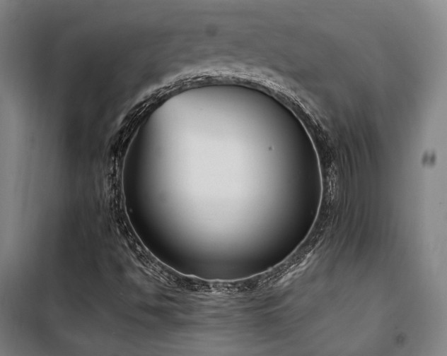 X0000101661494200807101242