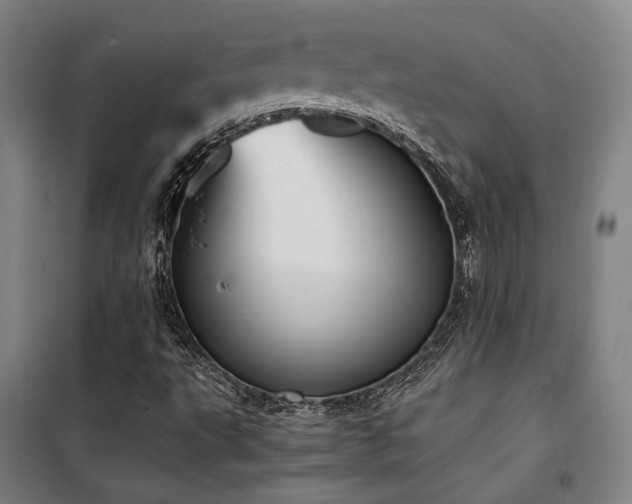 X0000101661495200807101242