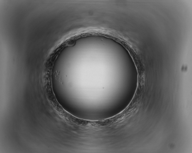 X0000101661496200807101242