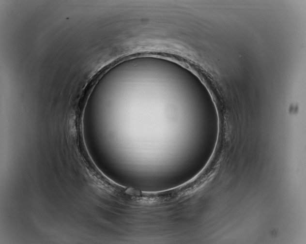 X0000101661497200807101242