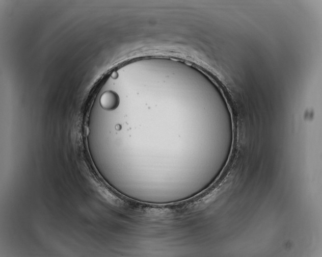X0000101661498200807101242