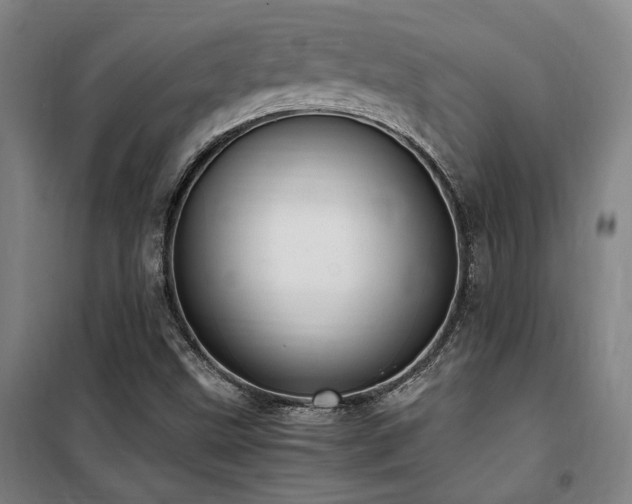 X0000101661499200807101242