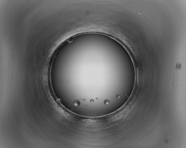 X0000101661500200807101242