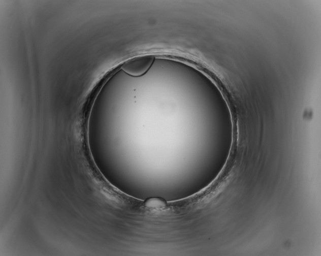 X0000101661501200807101242