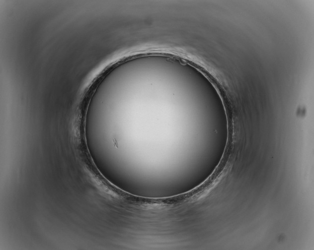 X0000101661502200807101242
