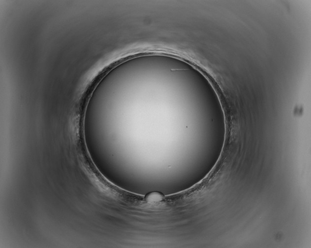 X0000101661503200807101242