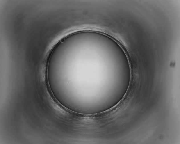 X0000101661504200807101242