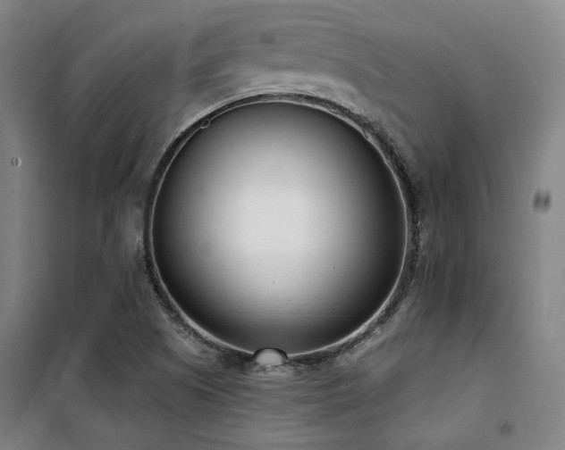 X0000101661505200807101242