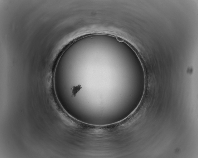 X0000101661507200807101242