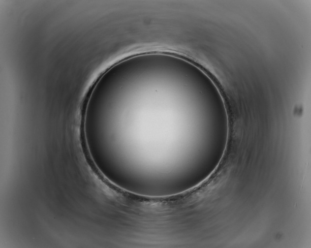 X0000101661508200807101242
