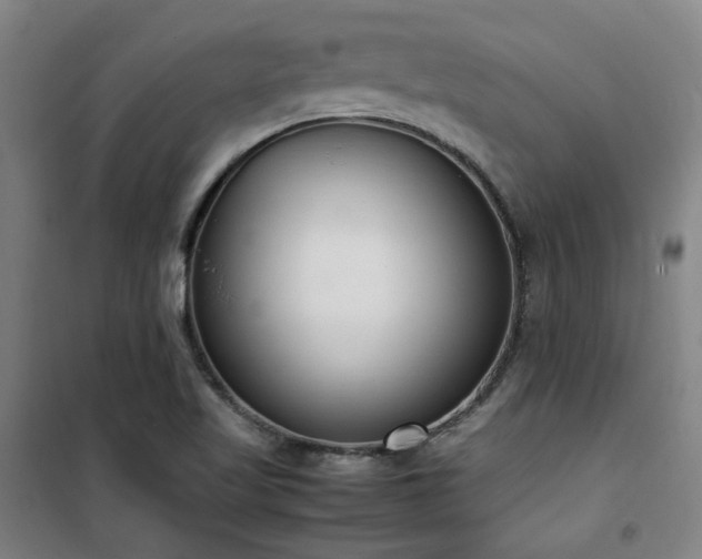 X0000101661509200807101242