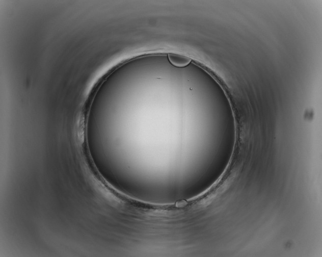 X0000101661510200807101242