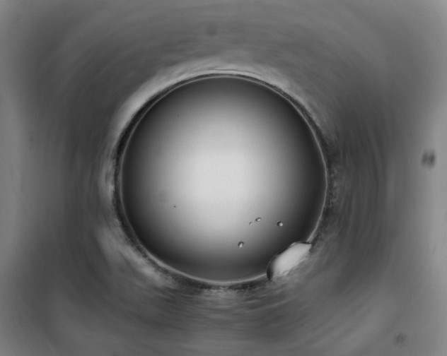X0000101661511200807101242
