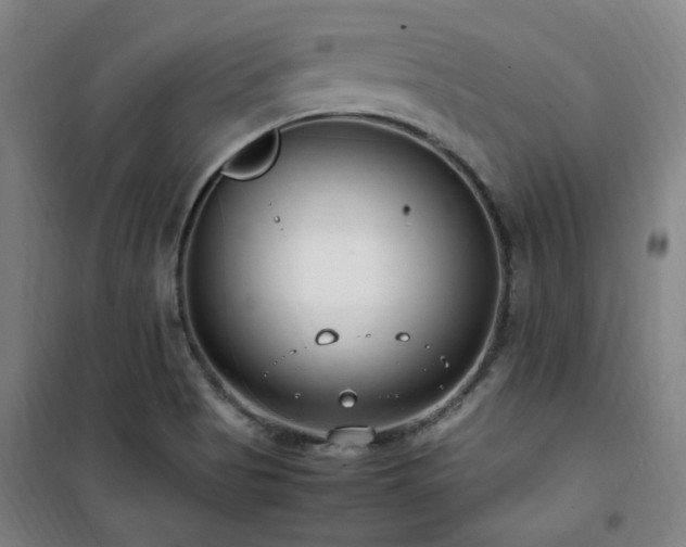 X0000101661513200807101242