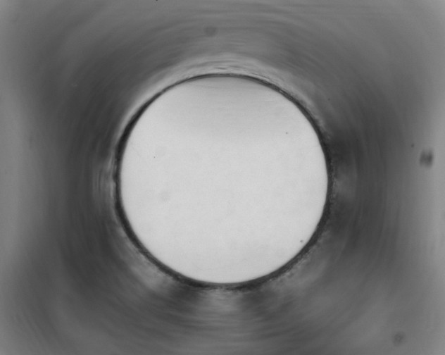 X0000101661514200807101242