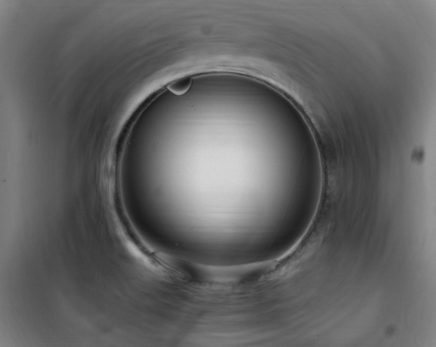 X0000101661515200807101242