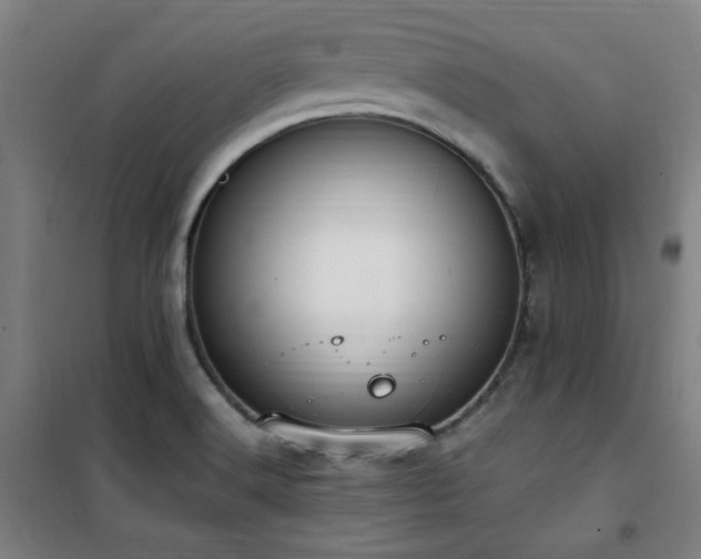 X0000101661516200807101243