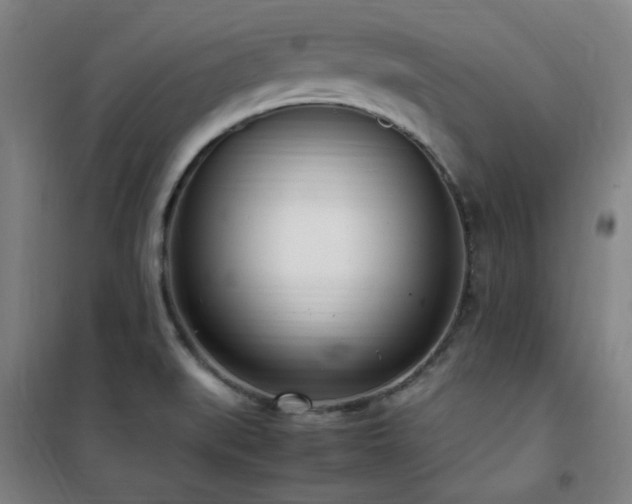X0000101661519200807101243