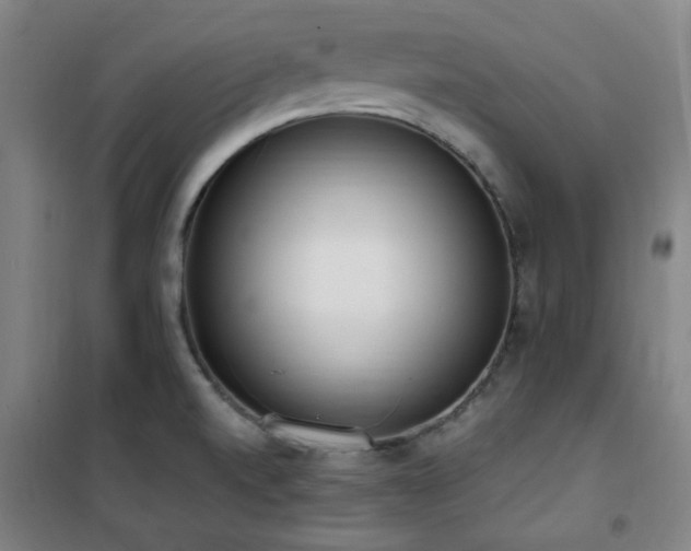 X0000101661520200807101243