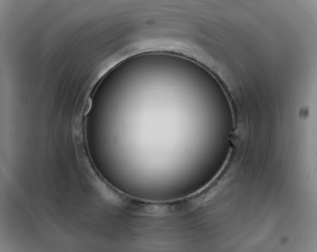 X0000101661521200807101243