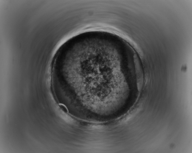 X0000101661522200807101243